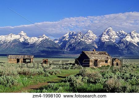 USA, WYOMING, GRAND TETON NATIONAL PARK, TETON RANGE, PFEIFFER? S HOMESTEAD, SAGEBRUSH. View Large Photo Image Stock Image - USA, WYOMING, GRAND TETON NATIONAL PARK, TETON RANGE, PFEIFFER? S HOMESTEAD, SAGEBRUSH.. Fotosearch