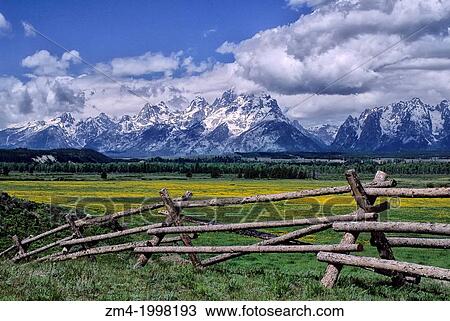 USA, WYOMING, GRAND TETON NATIONAL PARK, TETON RANGE, BUCKRAIL FENCE IN FOREGROUND. View Large Photo Image Stock Image - USA, WYOMING, GRAND TETON NATIONAL PARK, TETON RANGE, BUCKRAIL FENCE IN FOREGROUND.. Fotosearch