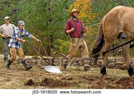 Stock Image - Using draft horse to plow pasture into cropland, Burton Ranch, Nevada City, California. Fotosearch