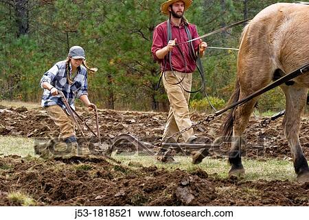 Stock Image - Using draft horse to plow pasture into cropland, Burton Ranch, Nevada City, California. Fotosearch