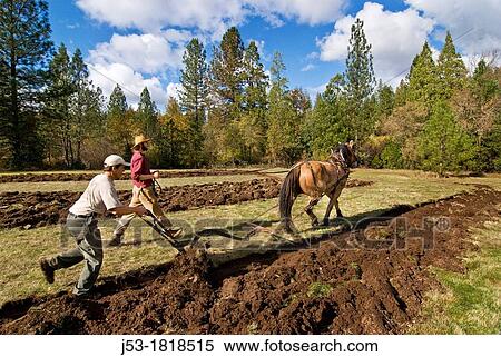 Using draft horse to plow pasture into cropland, Burton Ranch, Nevada City, California View Large Photo Image Stock Photography - Using draft horse to plow pasture into cropland, Burton Ranch, Nevada City, California. Fotosearch