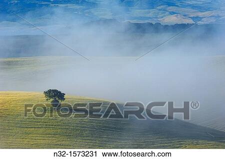Val d? Orcia at dawn, morning fog, Tuscany landscape, UNESCO world heritage site, San Quirico d? Orcia, Siena province, Tuscany, Italy View Large Photo Image Stock Image - Val d? Orcia at dawn, morning fog, Tuscany landscape, UNESCO world heritage site, San Quirico d? Orcia, Siena province, Tuscany, Italy. Fotosearch