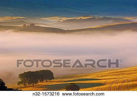 Val d? Orcia at dawn, morning fog, Tuscany landscape, UNESCO world heritage site, San Quirico d? Orcia, Siena province, Tuscany, Italy View Large Photo Image Stock Photograph - Val d? Orcia at dawn, morning fog, Tuscany landscape, UNESCO world heritage site, San Quirico d? Orcia, Siena province, Tuscany, Italy. Fotosearch