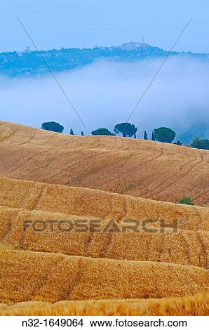 Val d? Orcia at dawn with morning fog, San Quirico d? Orcia, Tuscany landscape, UNESCO World Heritage Site, Siena Province, Tuscany, Italy, Europe View Large Photo Image Picture - Val d? Orcia at dawn with morning fog, San Quirico d? Orcia, Tuscany landscape, UNESCO World Heritage Site, Siena Province, Tuscany, Italy, Europe. Fotosearch