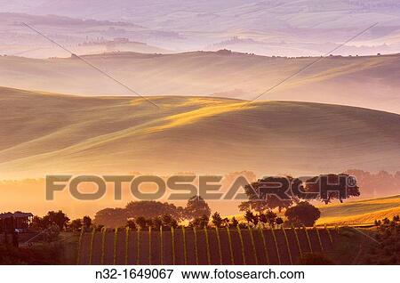 Val d? Orcia at dawn with morning fog, San Quirico d? Orcia, Tuscany landscape, UNESCO World Heritage Site, Siena Province, Tuscany, Italy, Europe View Large Photo Image Stock Photo - Val d? Orcia at dawn with morning fog, San Quirico d? Orcia, Tuscany landscape, UNESCO World Heritage Site, Siena Province, Tuscany, Italy, Europe. Fotosearch