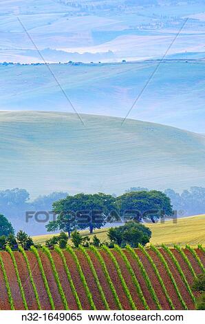 Stock Photography - Val d? Orcia at dawn with morning fog, San Quirico d? Orcia, Tuscany landscape, UNESCO World Heritage Site, Siena Province, Tuscany, Italy, Europe. Fotosearch