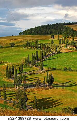 Val d? Orcia, Orcia Valley, Pienza, Road and Cypress trees, Road from pienza to montepulciano, Tuscany Landscape, UNESCO world heritage site, Siena Province, Tuscany, Italy. View Large Photo Image Stock Photo - Val d? Orcia, Orcia Valley, Pienza, Road and Cypress trees, Road from pienza to montepulciano, Tuscany Landscape, UNESCO world heritage site, Siena Province, Tuscany, Italy.. Fotosearch