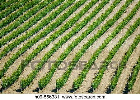 Val d? Orcia. Tuscany, Italy View Large Photo Image Stock Image - Val d? Orcia. Tuscany, Italy. Fotosearch