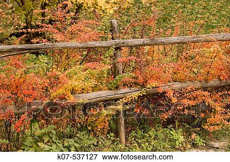 Stock Photo - Val di Funes. Trentino-Alto Adige, Dolomites, Bolzano province, Italy. Fotosearch