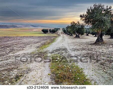 Valdeciervos road in Pinto. Madrid. Spain. View Large Photo Image Stock Photograph - Valdeciervos road in Pinto. Madrid. Spain.. Fotosearch