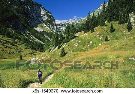 Valley of Lepena in National Park of Triglavski, Slovenia View Large Photo Image Stock Image - Valley of Lepena in National Park of Triglavski, Slovenia. Fotosearch