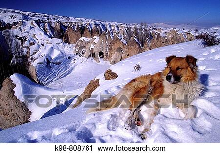 Valley of the Doves, U? hisar. Cappadocia, Anatolia, Turkey View Large Photo Image Stock Image - Valley of the Doves, U? hisar. Cappadocia, Anatolia, Turkey. Fotosearch