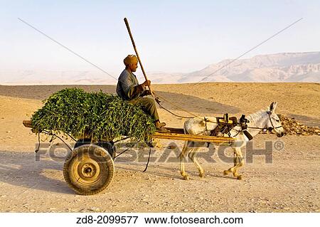 valley of the kings. luxor. View Large Photo Image Stock Photo - valley of the kings. luxor.. Fotosearch