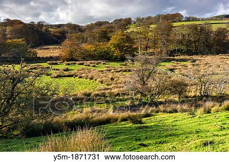 Valley of the West Dart River near Two Bridges in the Dartmoor National Park, Devon, England, UK, Europe View Large Photo Image Stock Image - Valley of the West Dart River near Two Bridges in the Dartmoor National Park, Devon, England, UK, Europe. Fotosearch