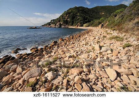 Vallpresona beach, Santa Cristina d? Aro, Costa Brava, Catalonia, Spain, Europe View Large Photo Image Stock Photo - Vallpresona beach, Santa Cristina d? Aro, Costa Brava, Catalonia, Spain, Europe. Fotosearch