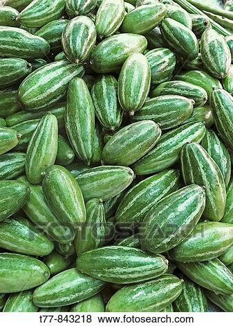 Vegetable, Seven Striped pear gourds Parwal at street market Indore, Madhya Pradesh, India View Large Photo Image Stock Photo - Vegetable, Seven Striped pear gourds Parwal at street market Indore, Madhya Pradesh, India. Fotosearch
