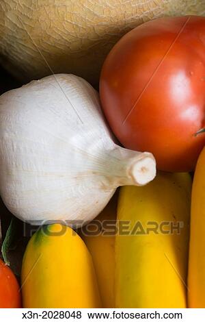 Vegetables Close-up. Garlic tomato and squash. Maryland USA View Large Photo Image Stock Photo - Vegetables Close-up. Garlic tomato and squash. Maryland USA. Fotosearch
