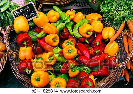 Vegetables on the market at Sainte-Foy-la-Grande, Gironde, Aquitaine, France View Large Photo Image Picture - Vegetables on the market at Sainte-Foy-la-Grande, Gironde, Aquitaine, France. Fotosearch