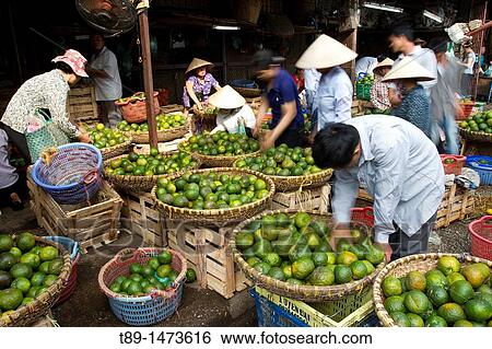 Vendors selling oranges in Hanoi market View Large Photo Image Stock Photograph - Vendors selling oranges in Hanoi market. Fotosearch