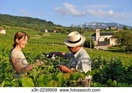 Veronique Dupasquier, wine grower, tasting wine in the vineyard at Jongieux, Savoie department, Rhone-Alpes region, France, Europe. View Large Photo Image Stock Photo - Veronique Dupasquier, wine grower, tasting wine in the vineyard at Jongieux, Savoie department, Rhone-Alpes region, France, Europe.. Fotosearch