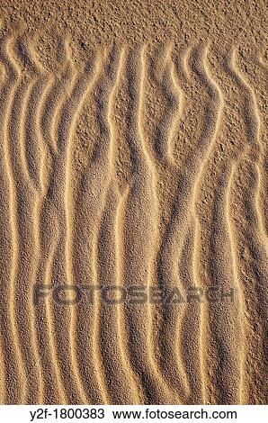 vertical ripples on sand View Large Photo Image Stock Image - vertical ripples on sand. Fotosearch
