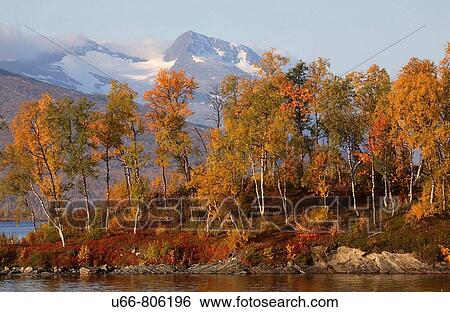 ? veruman, Lapland, Sweden View Large Photo Image Stock Photograph - ? veruman, Lapland, Sweden. Fotosearch