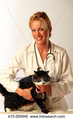 veterinarian with cat View Large Photo Image Stock Photography - veterinarian with cat. Fotosearch