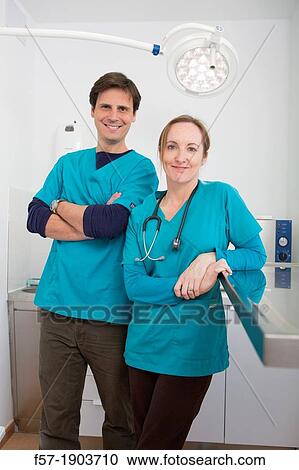 Veterinarians in their surgery View Large Photo Image Stock Image - Veterinarians in their surgery. Fotosearch