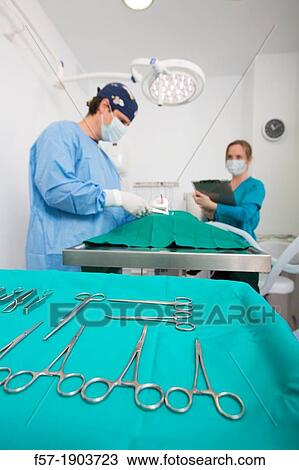 Veterinarians operating on a dog in their surgery View Large Photo Image Stock Image - Veterinarians operating on a dog in their surgery. Fotosearch