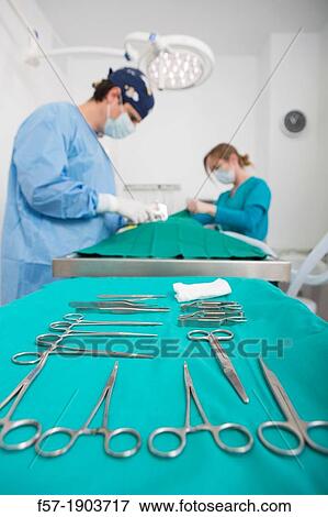 Veterinarians operating on a dog in their surgery View Large Photo Image Stock Photo - Veterinarians operating on a dog in their surgery. Fotosearch