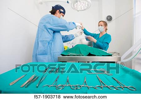 Veterinarians operating on a dog in their surgery View Large Photo Image Stock Photo - Veterinarians operating on a dog in their surgery. Fotosearch