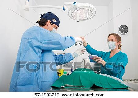 Veterinarians operating on a dog in their surgery View Large Photo Image Stock Photo - Veterinarians operating on a dog in their surgery. Fotosearch