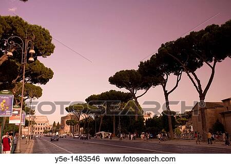 Via dei Fori Imperiali Roman Forum Road, Rome, Italy SUNSET FILTER View Large Photo Image Stock Photograph - Via dei Fori Imperiali Roman Forum Road, Rome, Italy SUNSET FILTER. Fotosearch