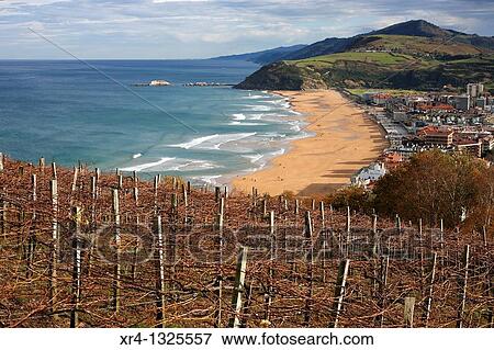Vias de txakoli frente al mar, Zarauz Zarautz, Guipuzcoa Gipuzkoa Basque Country Euskadi, Spain Espaa View Large Photo Image Stock Photo - Vias de txakoli frente al mar, Zarauz Zarautz, Guipuzcoa Gipuzkoa Basque Country Euskadi, Spain Espaa. Fotosearch