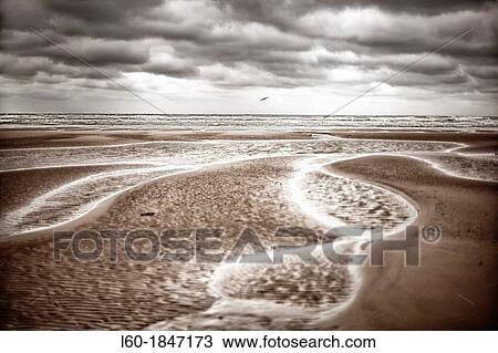 Vierville sur mer Omaha beach, Normandy, France View Large Photo Image Stock Image - Vierville sur mer Omaha beach, Normandy, France. Fotosearch