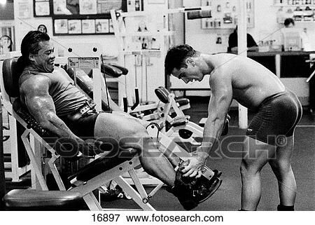 Vietnamese and American bodybuilder working out together in gym using very heavy weights View Large Photo Image Stock Photo - Vietnamese and American bodybuilder working out together in gym using very heavy weights. Fotosearch