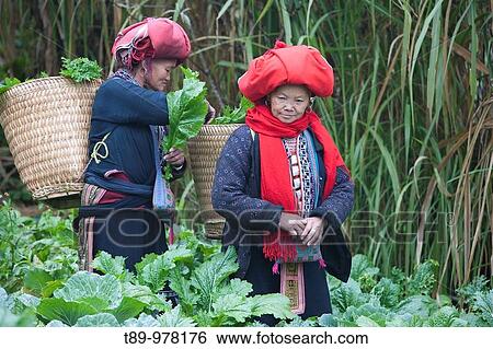Vietnamese woman, red dao, Sapa, Hanoi, North Vietnam, Southeast Asia View Large Photo Image Stock Photograph - Vietnamese woman, red dao, Sapa, Hanoi, North Vietnam, Southeast Asia. Fotosearch