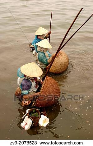 Stock Photo - Vietnamese women in conical hats fishing the cold waters of Tay Ho Lake, Hanoi.. Fotosearch