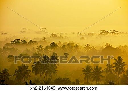 View at dawn of the mist-covered jungle of Kedu Plain from the top of the 9th-Century Mahyana Buddhist Temple at Borobudur, Magelang, Central Java, Indonesia View Large Photo Image Stock Photo - View at dawn of the mist-covered jungle of Kedu Plain from the top of the 9th-Century Mahyana Buddhist Temple at Borobudur, Magelang, Central Java, Indonesia. Fotosearch