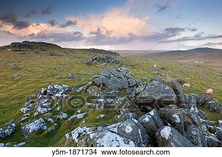 View from Cox Tor in the Dartmoor National Park, Devon, England, UK, Europe View Large Photo Image Picture - View from Cox Tor in the Dartmoor National Park, Devon, England, UK, Europe. Fotosearch