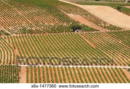 View from San Vicente de la Sonsierra, Rioja Alta, La Rioja, Spain View Large Photo Image Stock Image - View from San Vicente de la Sonsierra, Rioja Alta, La Rioja, Spain. Fotosearch