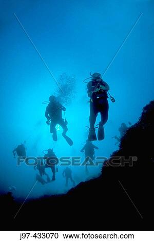 View looking back at a train of divers descending down the Blue Hole, Lighthouse Reef Atoll, Belize, Caribbean Sea View Large Photo Image Stock Image - View looking back at a train of divers descending down the Blue Hole, Lighthouse Reef Atoll, Belize, Caribbean Sea. Fotosearch