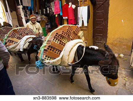 View of a man walking with a donkey on the road, Fez, Morocco View Large Photo Image Stock Photo - View of a man walking with a donkey on the road, Fez, Morocco. Fotosearch