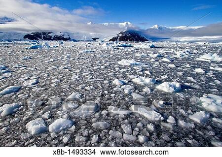 View of brash ice and snow-capped mountains in Neko Harbor in Andvord Bay, Antarctica View Large Photo Image Picture - View of brash ice and snow-capped mountains in Neko Harbor in Andvord Bay, Antarctica. Fotosearch