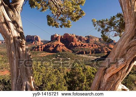 Stock Image - View of Cathedral Rock framed by trees - Sedona, Arizona. Fotosearch