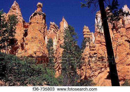 View of Hoodoos from trail down into Bryce Canyon, Bryce Canyon National Park, Utah, USA View Large Photo Image Stock Image - View of Hoodoos from trail down into Bryce Canyon, Bryce Canyon National Park, Utah, USA. Fotosearch
