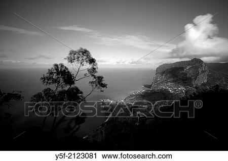 View of Madeira's north shore, near Porto da Cruz. View Large Photo Image Stock Image - View of Madeira's north shore, near Porto da Cruz.. Fotosearch