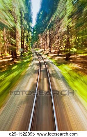 View of narrow gauge railroad track from rear window of train riding through forest View Large Photo Image Stock Photography - View of narrow gauge railroad track from rear window of train riding through forest. Fotosearch