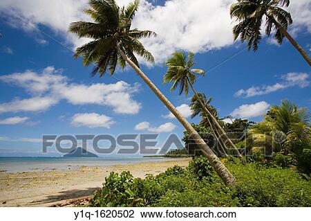 View of Talafi from Niuatoputapu, Tonga View Large Photo Image Stock Image - View of Talafi from Niuatoputapu, Tonga. Fotosearch