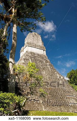 Stock Photography - View of Temple 1 from the East Plaza, Tikal National Park, Peten, Guatemala. Fotosearch